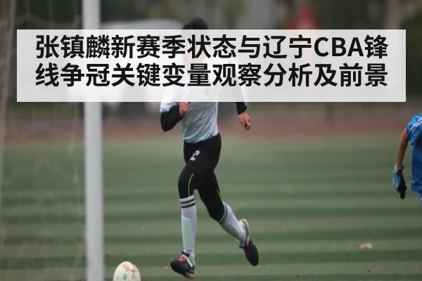 张镇麟新赛季状态与辽宁CBA锋线争冠关键变量观察分析及前景