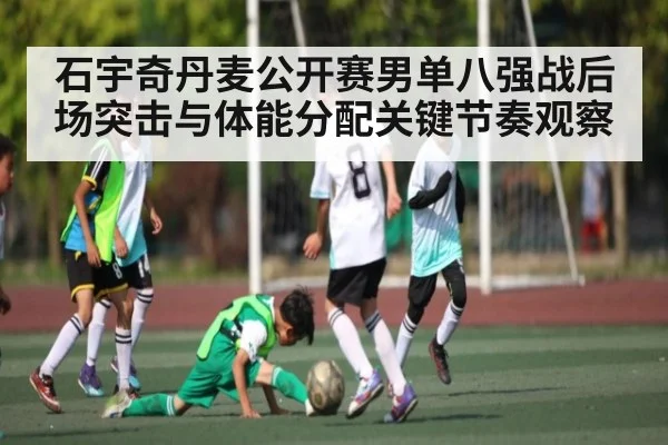 石宇奇丹麦公开赛男单八强战后场突击与体能分配关键节奏观察