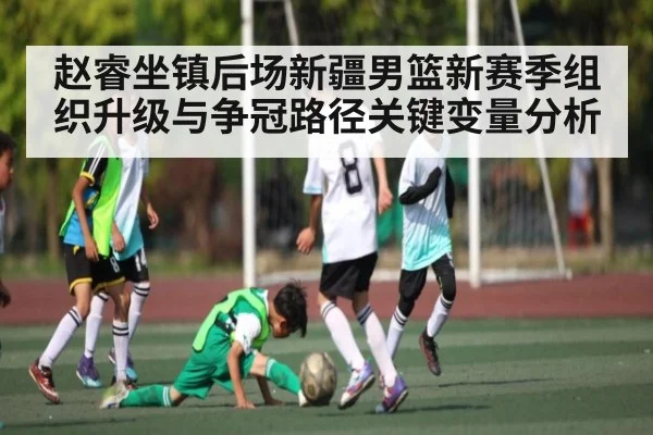 赵睿坐镇后场新疆男篮新赛季组织升级与争冠路径关键变量分析
